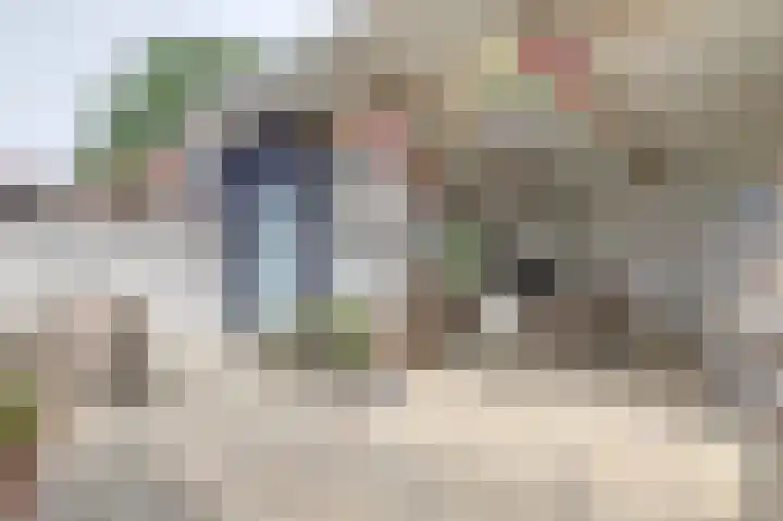 Koningin Julianastraat 14 Bruinisse thumbnail 23
