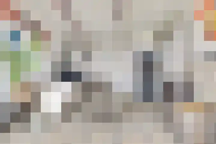Koningin Julianastraat 14 Bruinisse thumbnail 26
