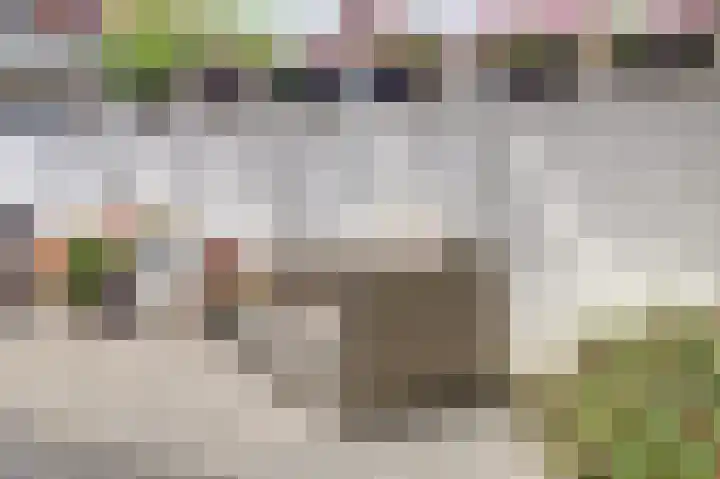 Koningin Julianastraat 14 Bruinisse thumbnail 27