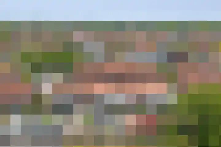 Koningin Julianastraat 14 Bruinisse thumbnail 28