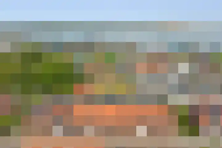 Koningin Julianastraat 14 Bruinisse thumbnail 29