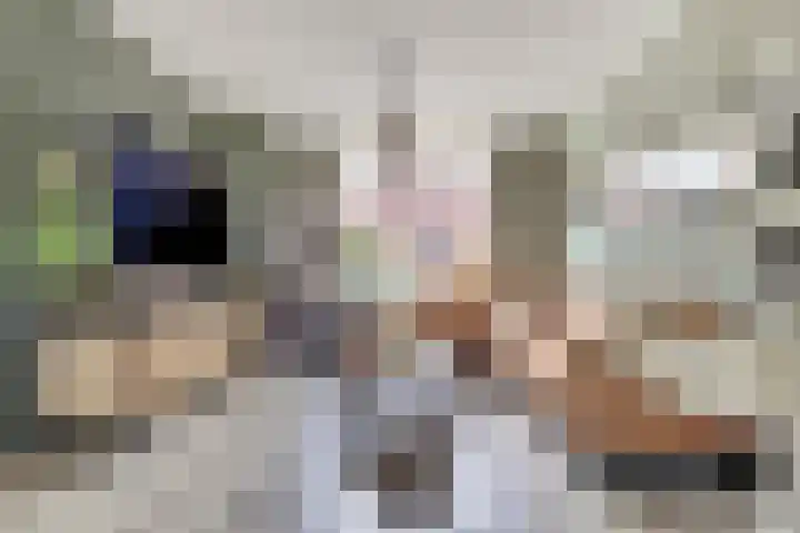 Koningin Julianastraat 14 Bruinisse thumbnail 5
