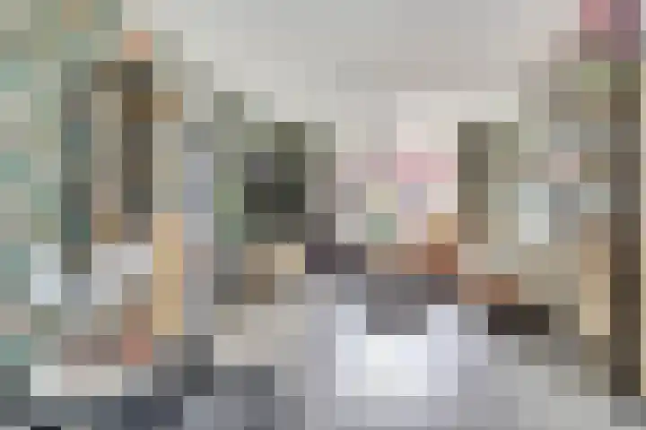 Koningin Julianastraat 14 Bruinisse thumbnail 7