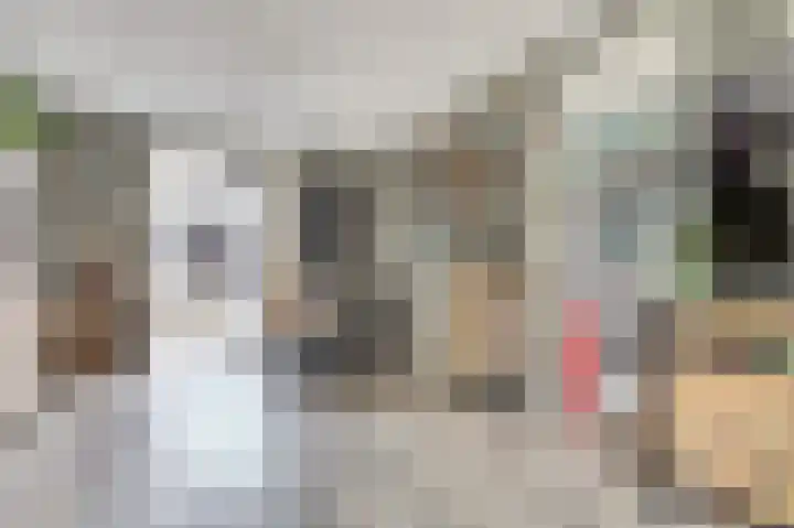 Koningin Julianastraat 14 Bruinisse thumbnail 8