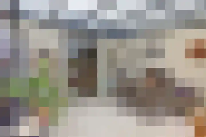 Koningin Julianastraat 14 Bruinisse thumbnail 9