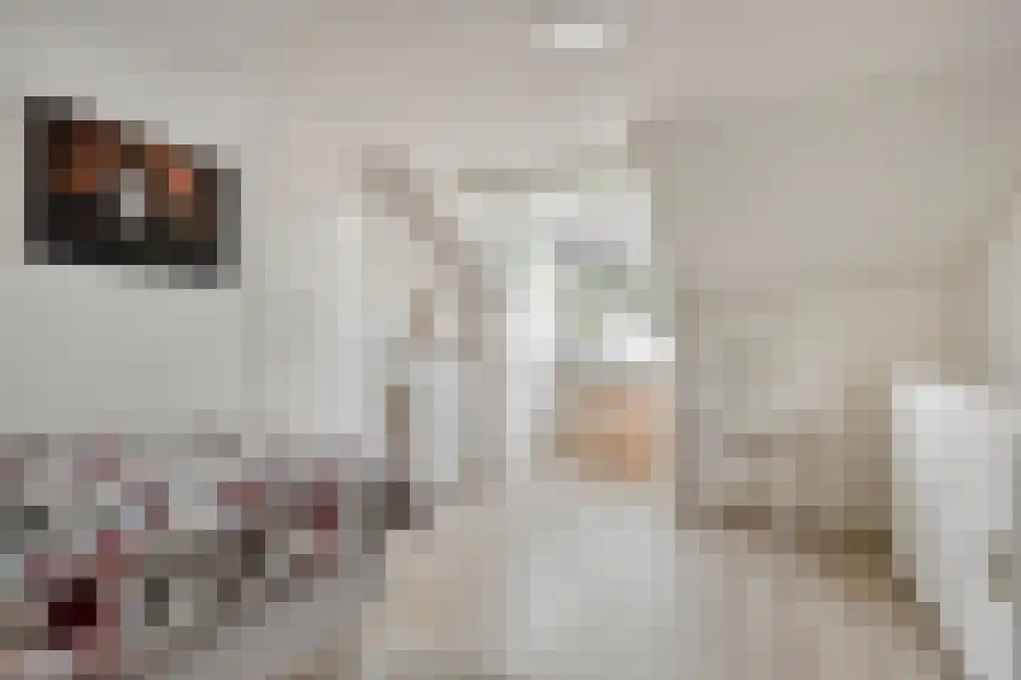 Koningin Julianastraat 14 Oudewater thumbnail 22