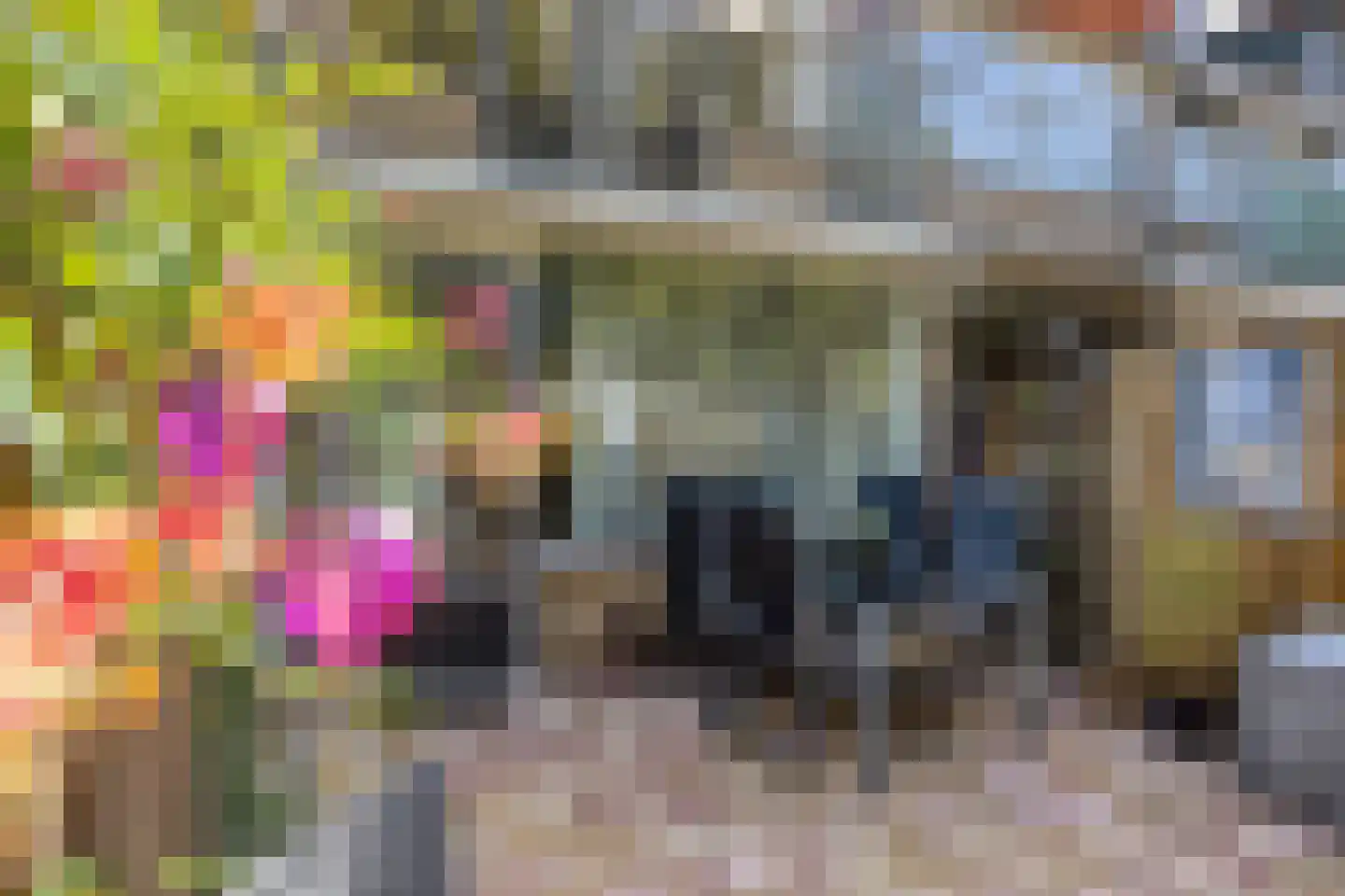 Koningin Julianastraat 14 Oudewater thumbnail 9