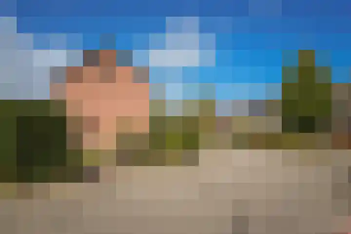 Koningin Julianastraat 16 Beesd thumbnail 41