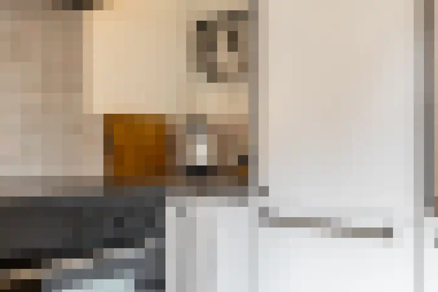 Koningin Julianastraat 16 Schoonhoven thumbnail 16
