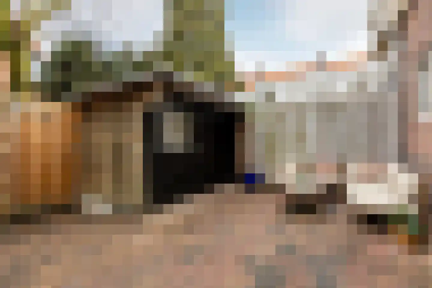 Koningin Julianastraat 16 Schoonhoven thumbnail 42