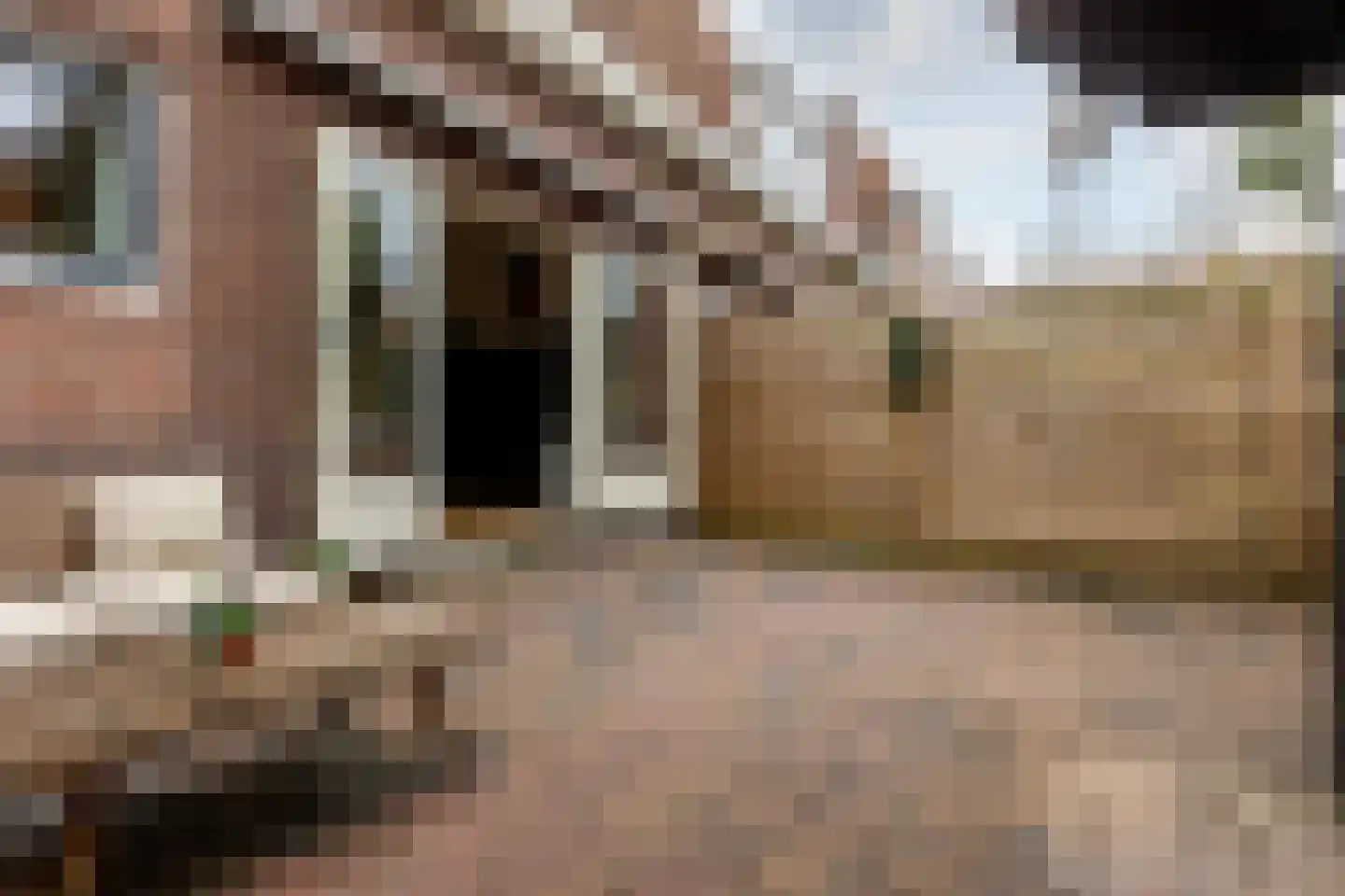 Koningin Julianastraat 16 Schoonhoven thumbnail 47