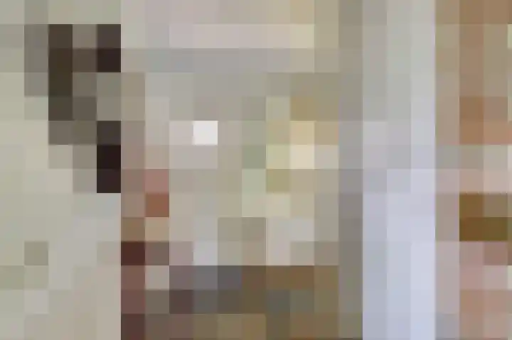 Koningin Julianastraat 16 Twello thumbnail 13