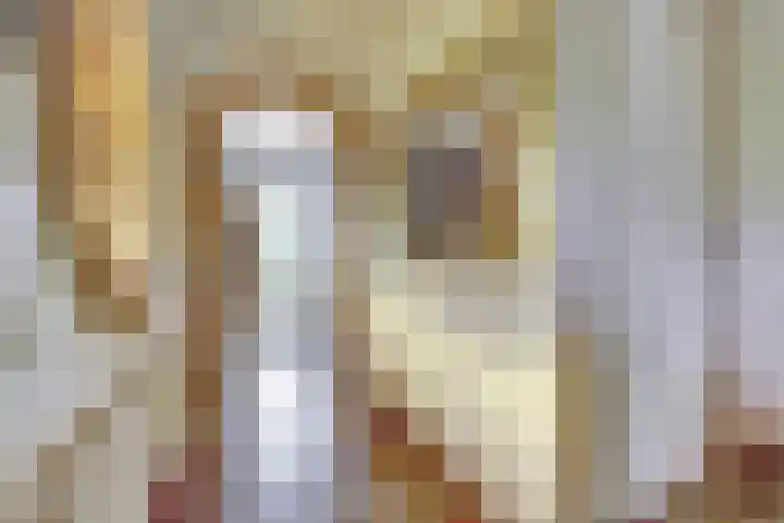 Koningin Julianastraat 16 Twello thumbnail 14
