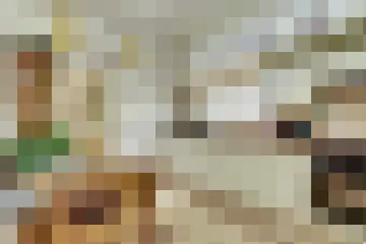 Koningin Julianastraat 16 Twello thumbnail 17