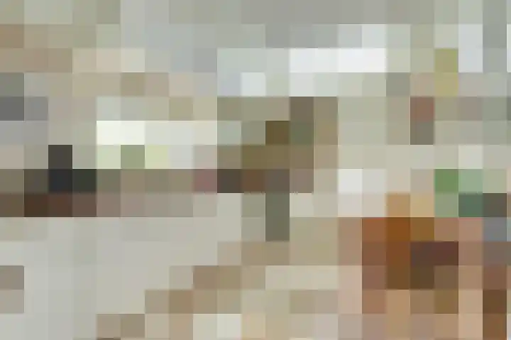 Koningin Julianastraat 16 Twello thumbnail 18