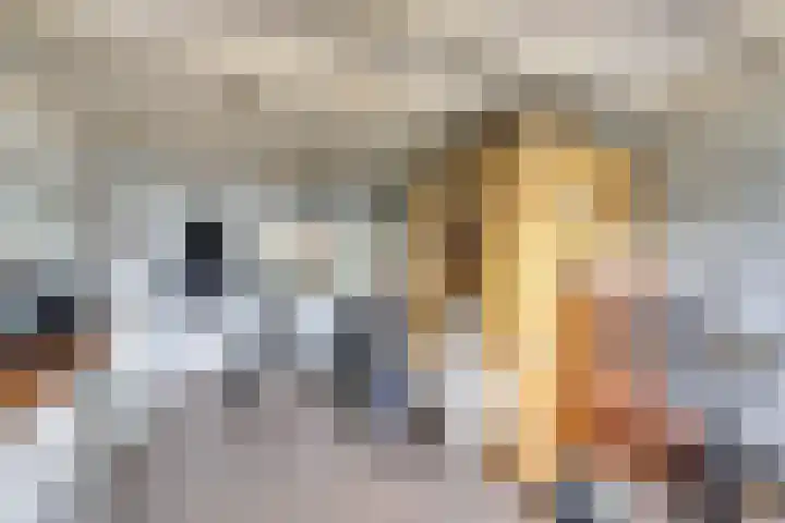 Koningin Julianastraat 16 Twello thumbnail 33