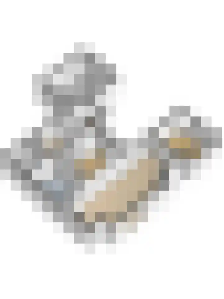 Koningin Julianastraat 16 Twello thumbnail 38