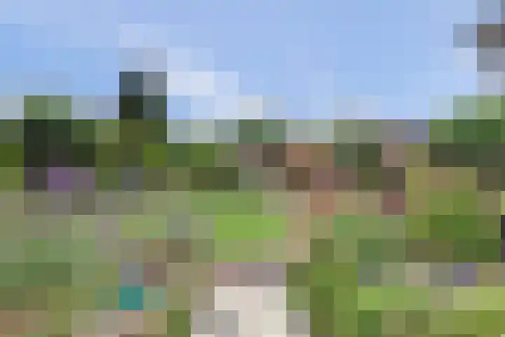 Koningin Julianastraat 16 Twello thumbnail 6
