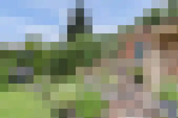 Koningin Julianastraat 16 Twello thumbnail 8