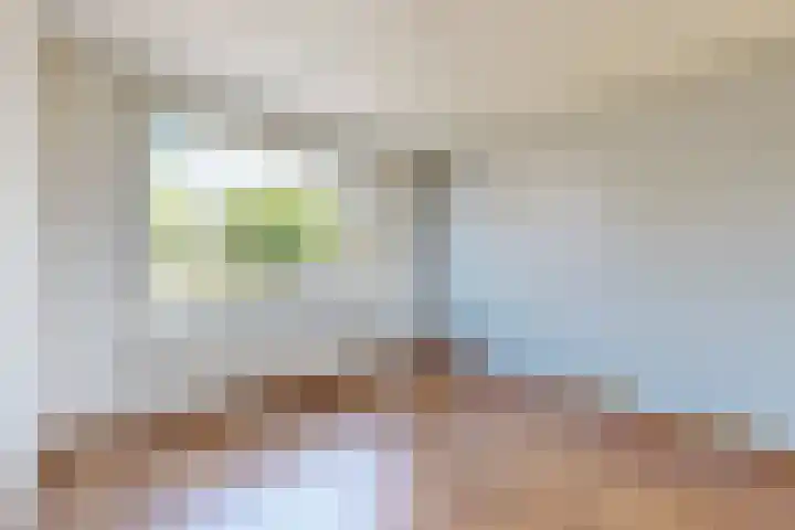 Koningin Julianastraat 17 Dinteloord thumbnail 13