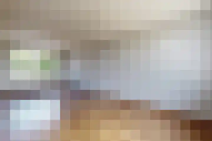 Koningin Julianastraat 17 Dinteloord thumbnail 15