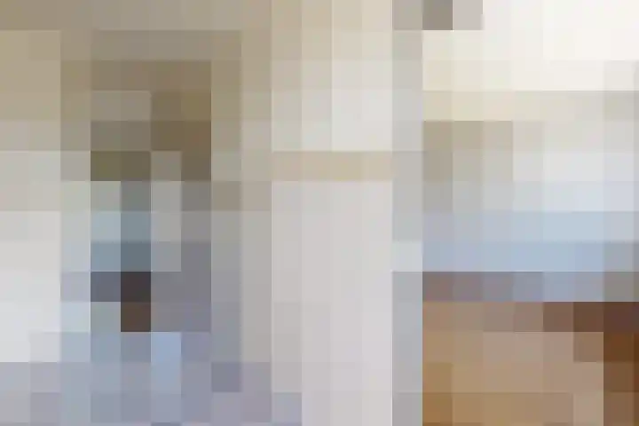 Koningin Julianastraat 17 Dinteloord thumbnail 18