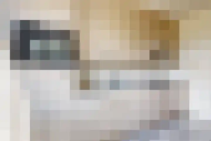 Koningin Julianastraat 17 Dinteloord thumbnail 19