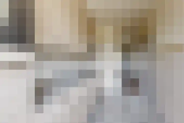 Koningin Julianastraat 17 Dinteloord thumbnail 20