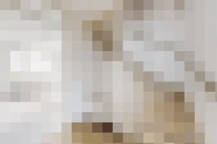 Koningin Julianastraat 17 Dinteloord thumbnail 23