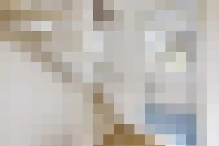 Koningin Julianastraat 17 Dinteloord thumbnail 24