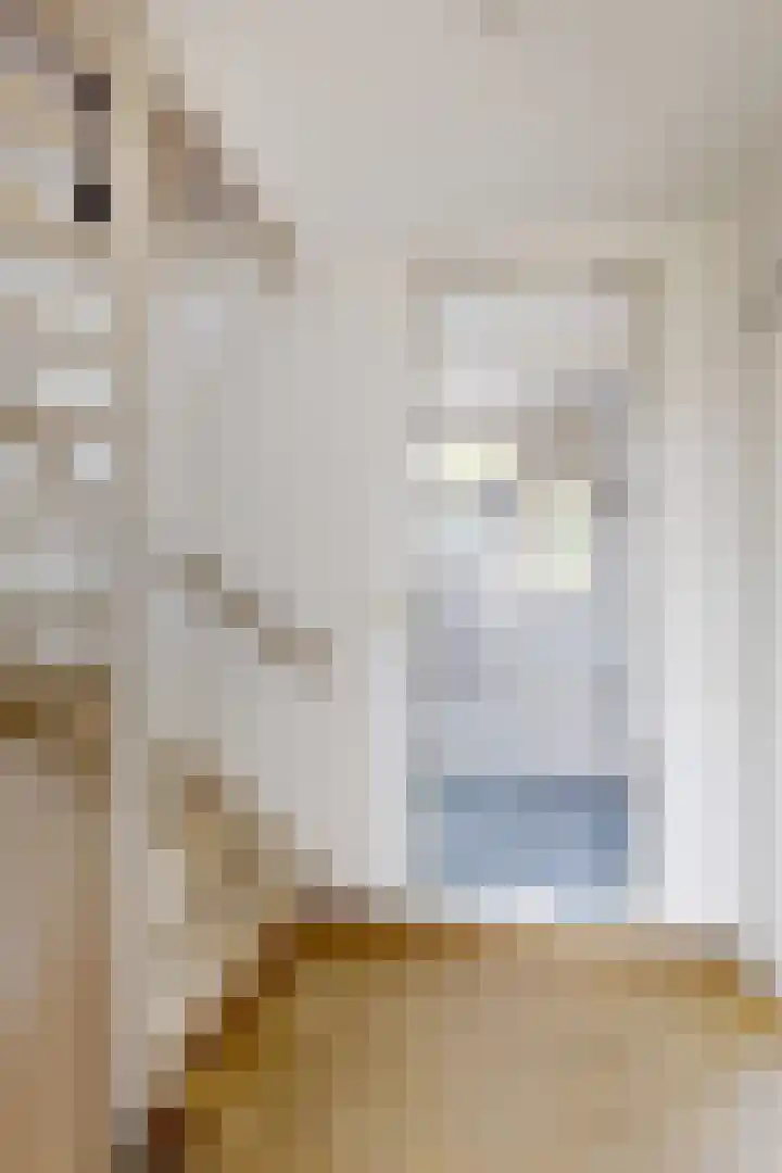Koningin Julianastraat 17 Dinteloord thumbnail 25