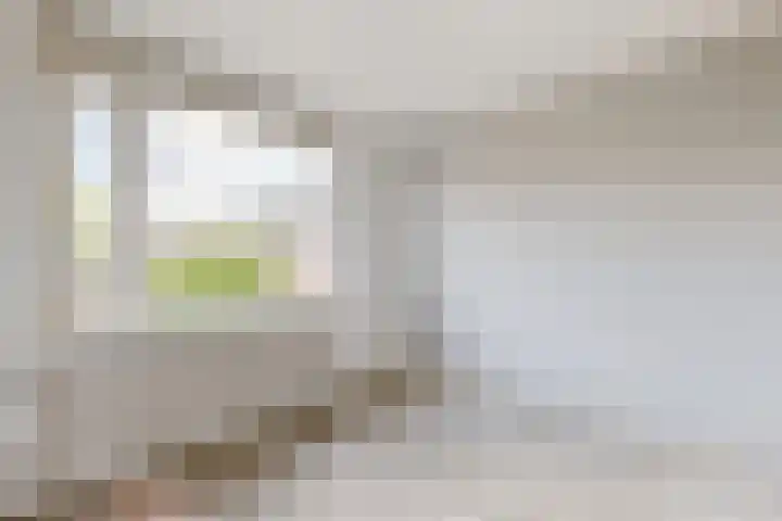 Koningin Julianastraat 17 Dinteloord thumbnail 27