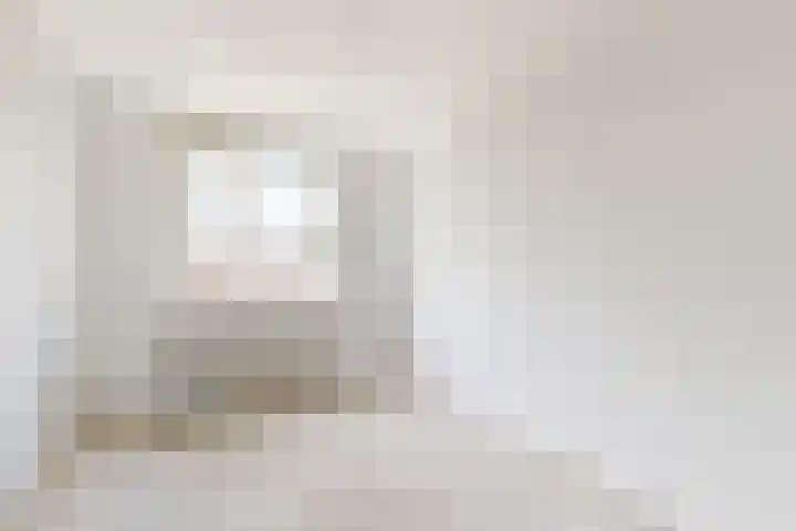Koningin Julianastraat 17 Dinteloord thumbnail 30