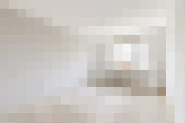 Koningin Julianastraat 17 Dinteloord thumbnail 32