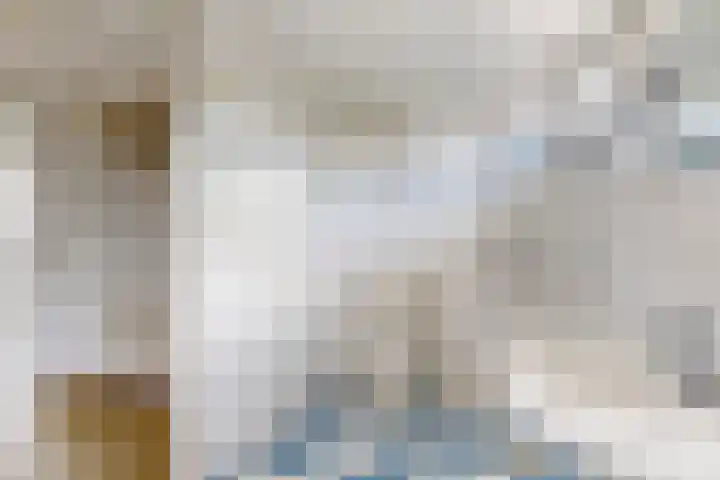 Koningin Julianastraat 17 Dinteloord thumbnail 33