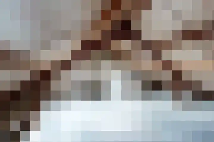 Koningin Julianastraat 17 Dinteloord thumbnail 36