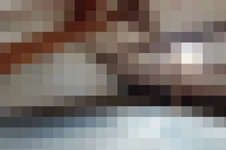 Koningin Julianastraat 17 Dinteloord thumbnail 38