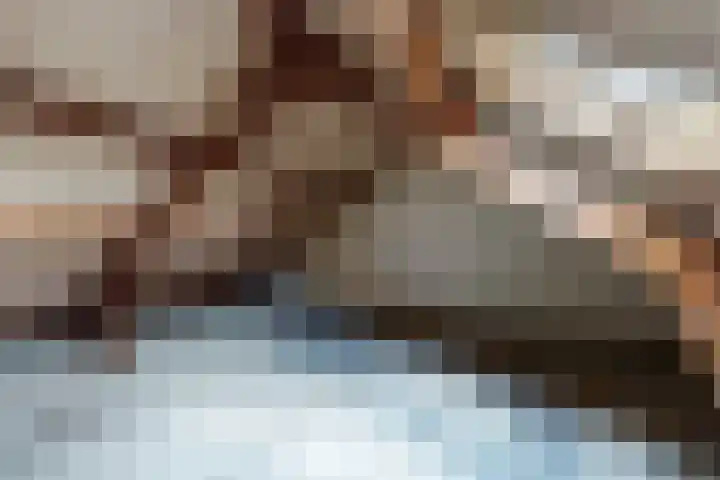 Koningin Julianastraat 17 Dinteloord thumbnail 39