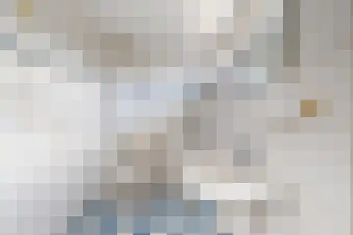 Koningin Julianastraat 17 Dinteloord thumbnail 4