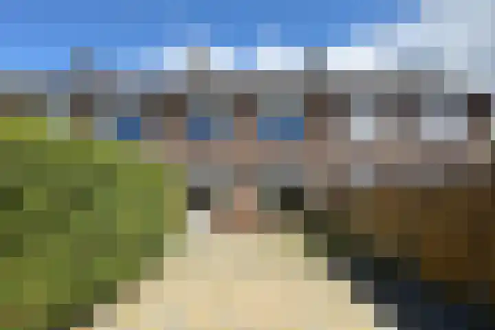 Koningin Julianastraat 17 Dinteloord thumbnail 41