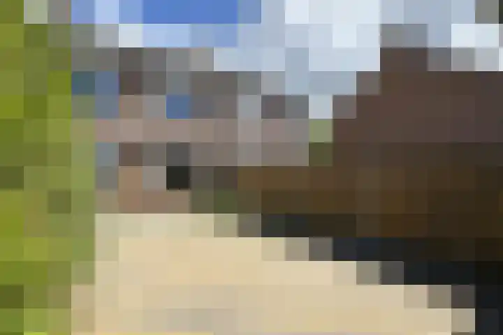 Koningin Julianastraat 17 Dinteloord thumbnail 42