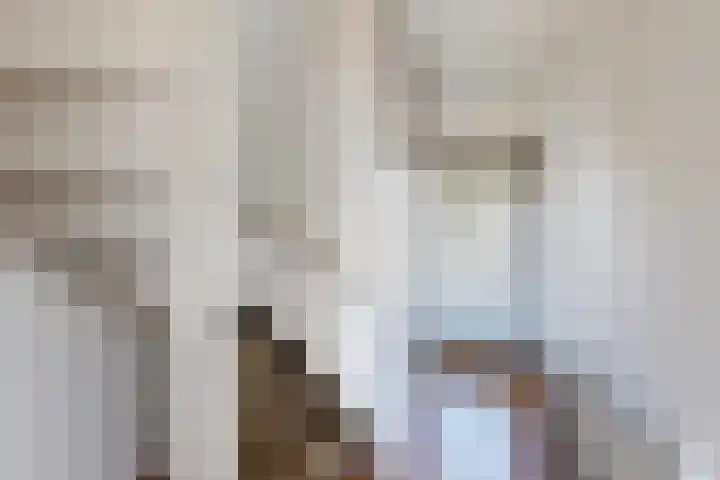 Koningin Julianastraat 17 Dinteloord thumbnail 7
