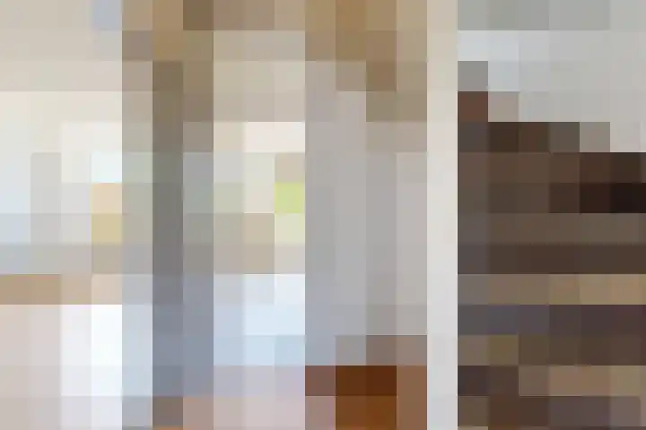 Koningin Julianastraat 17 Dinteloord thumbnail 8