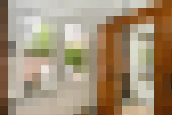 Koningin Julianastraat 17 Schoonhoven thumbnail 19