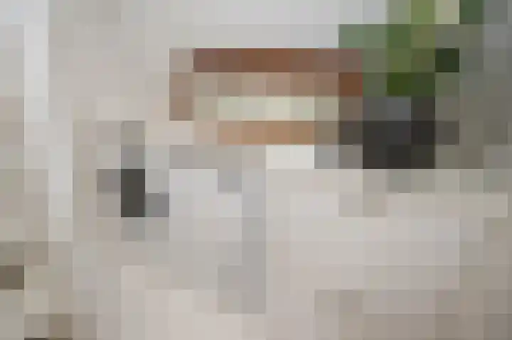 Koningin Julianastraat 17 Schoonhoven thumbnail 23