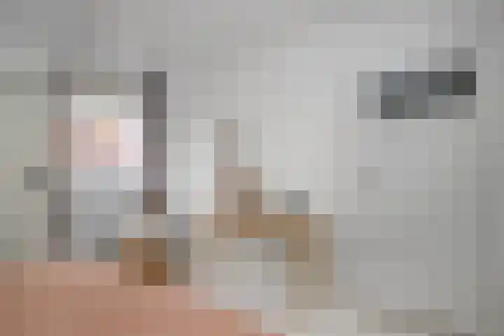 Koningin Julianastraat 17 Schoonhoven thumbnail 24