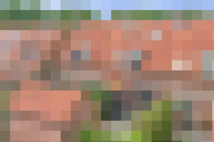 Koningin Julianastraat 17 Schoonhoven thumbnail 38