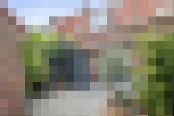 Koningin Julianastraat 17 Schoonhoven thumbnail 40