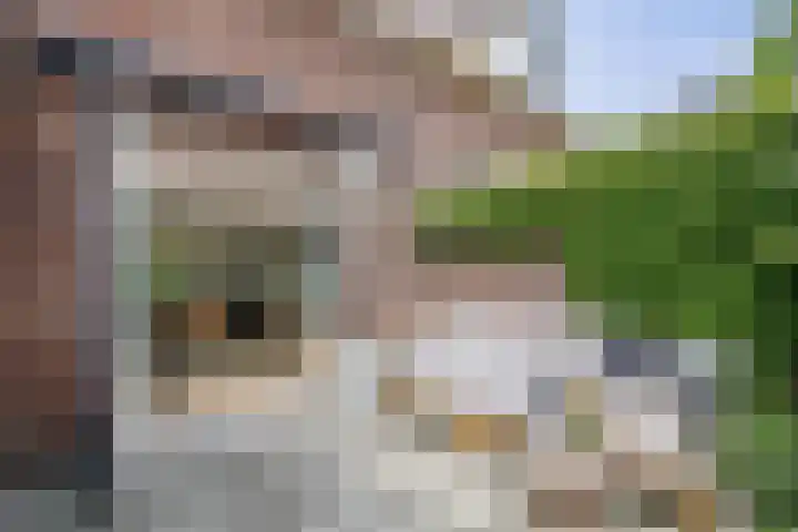 Koningin Julianastraat 17 Schoonhoven thumbnail 41