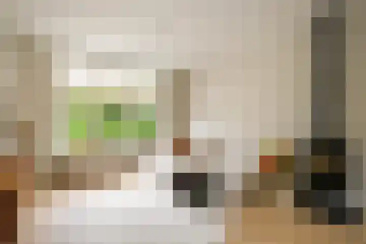 Koningin Julianastraat 17 Schoonhoven thumbnail 8